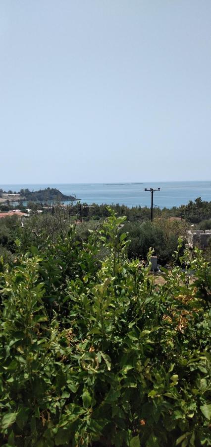 Raymondos Apartments Lassi (Kefalonia) Exterior foto
