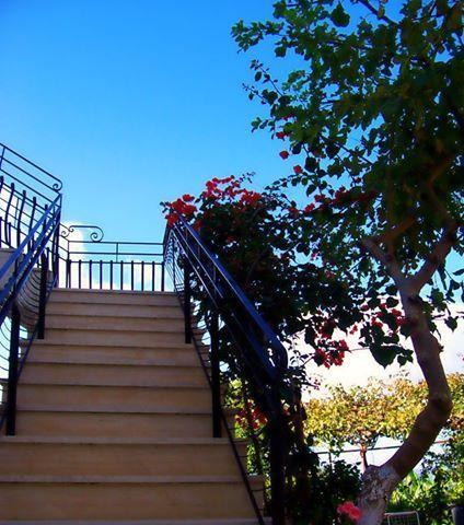 Raymondos Apartments Lassi (Kefalonia) Exterior foto