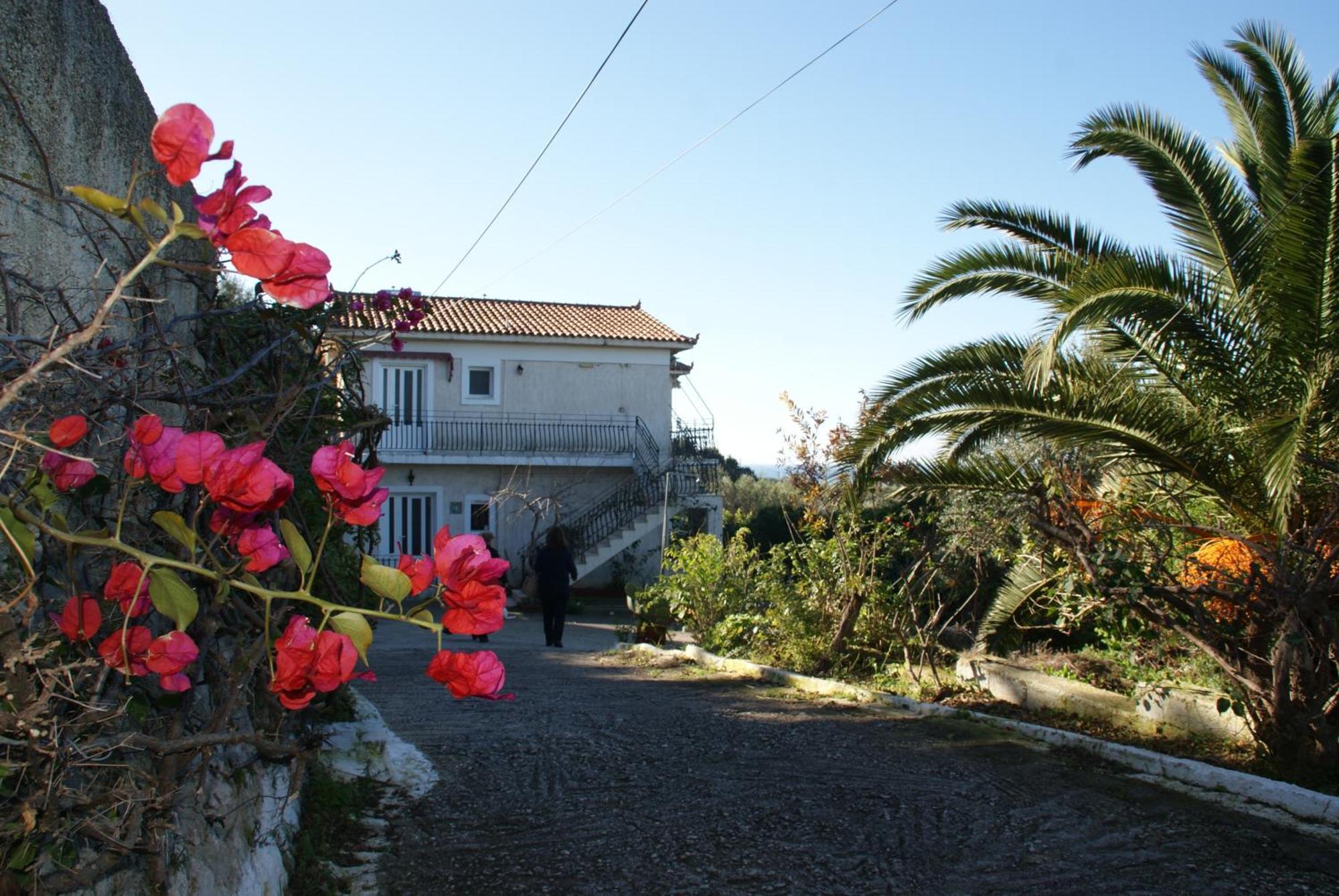 Raymondos Apartments Lassi (Kefalonia) Quarto foto