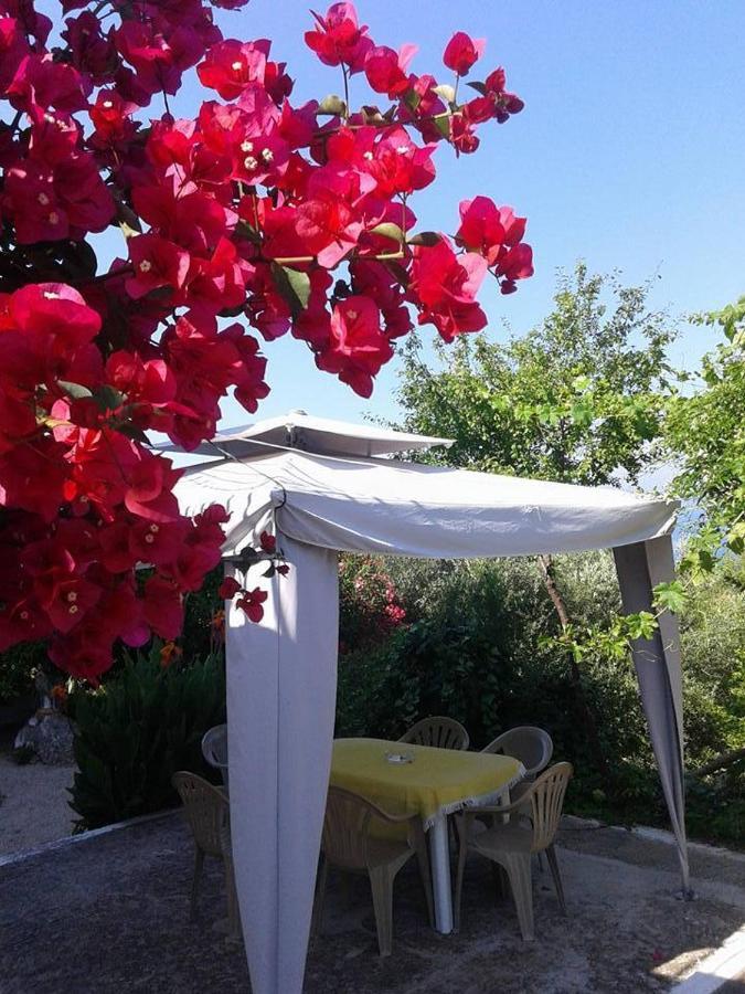 Raymondos Apartments Lassi (Kefalonia) Exterior foto